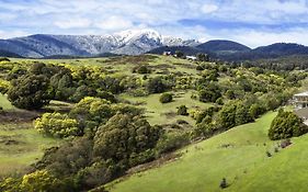 The Sebel Pinnacle Valley